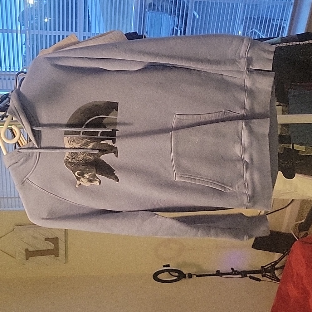 The north face hoodie never worn